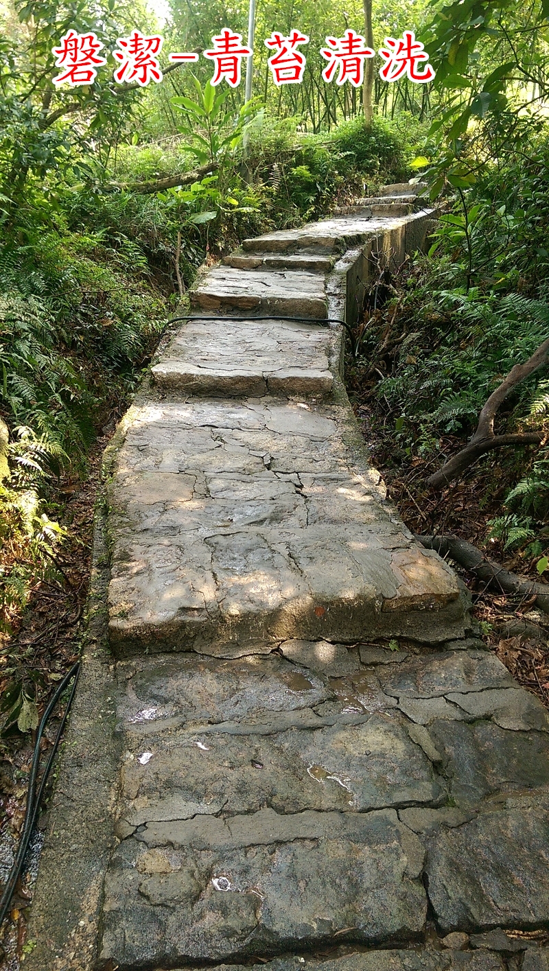 磐潔-登山步道-青苔清洗